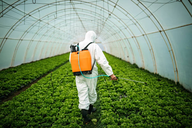 Best Affordable Pest Control Services  in Reynolds Heights, PA