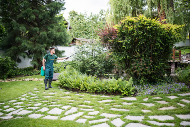 Best Best Pest Control Companies  in Reynolds Heights, PA